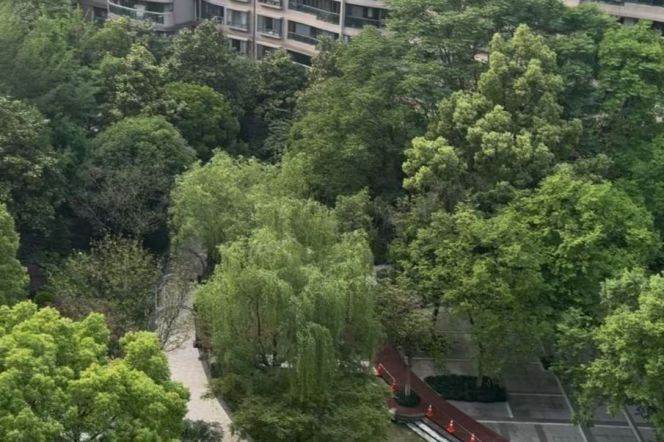 Brand new decoration  3brs with balcony and floor rheating  in Gubei 