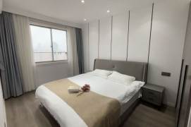   Spacious-Fashion-lift-1Br-Nr Spring mall -Shanxi North rd/Putuo area/L7/13