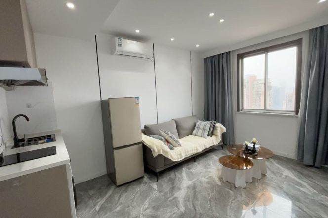   Spacious-Fashion-lift-1Br-Nr Spring mall -Shanxi North rd/Putuo area/L7/13