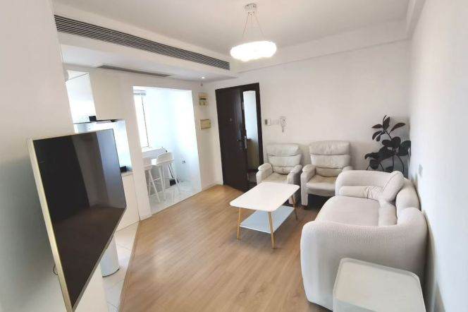 Nice building,modern 1 br 2 lr ,elevator,all bright room,line 2/11 Jiangsu Road metro station