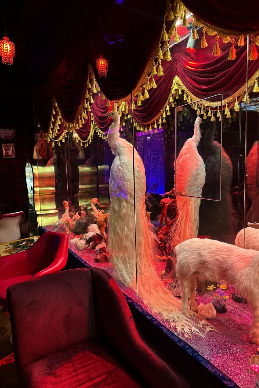 Sympathy Angel: Taxidermy,  Cocktails, Chaos