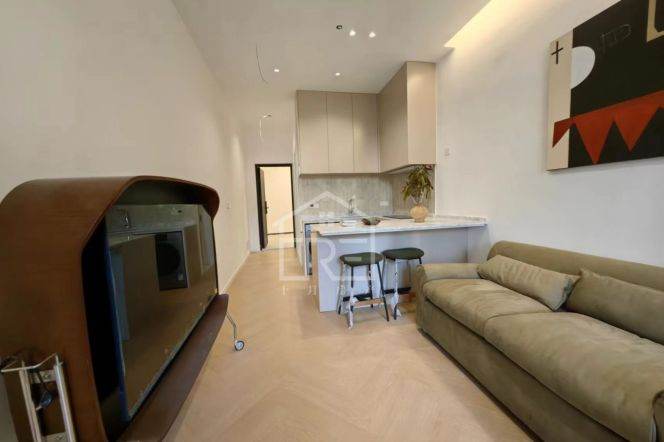 High ceiling one bedroom Apt+gym+heating+central AC @Changping