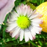 Three Days of Easter Brunch