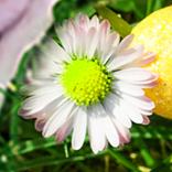 Three Days of Easter Brunch