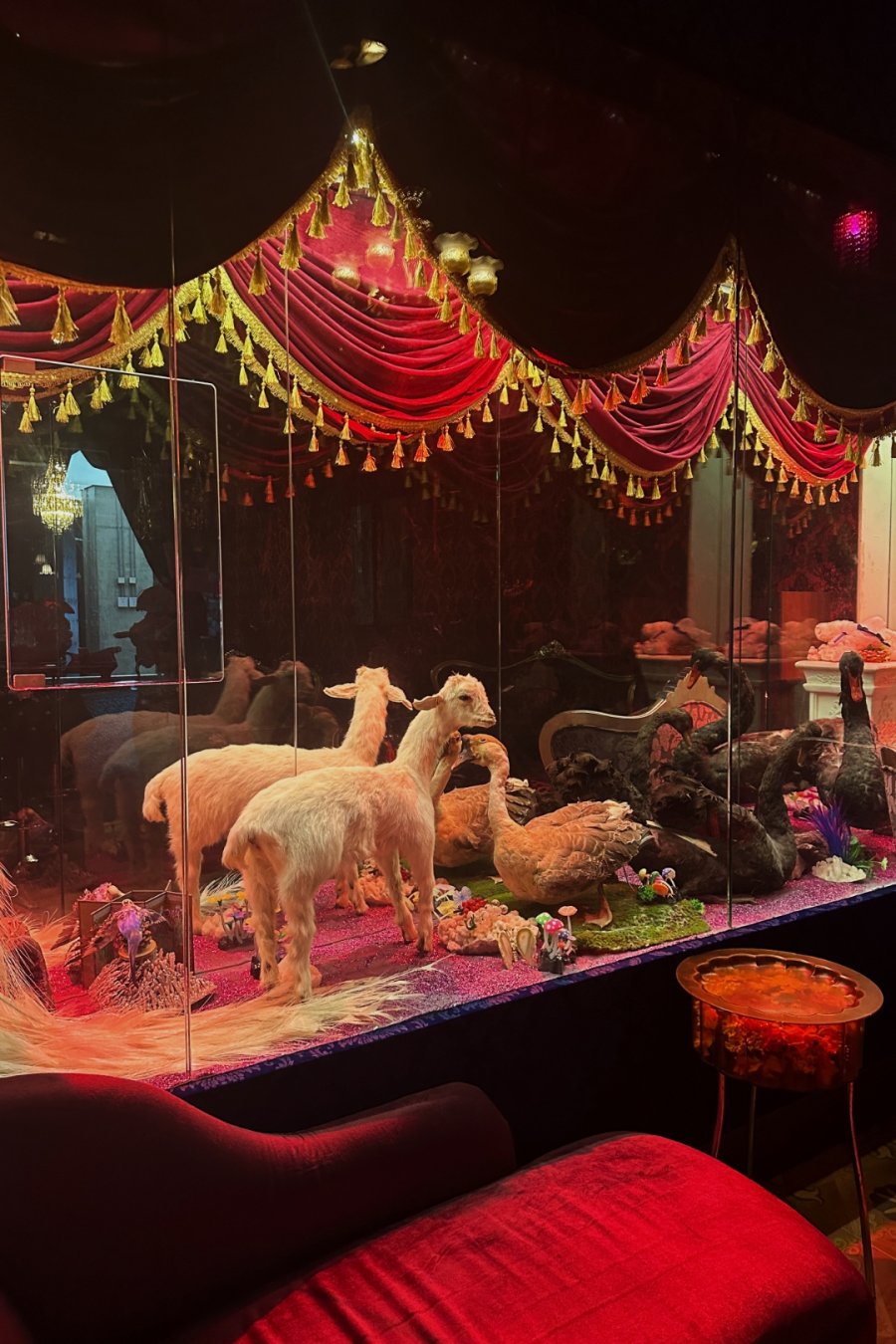 Sympathy Angel: Taxidermy,  Cocktails, Chaos