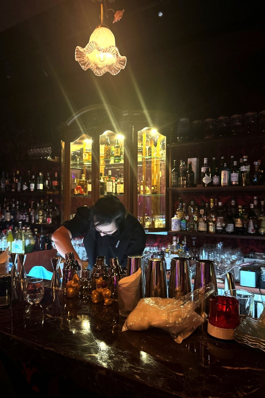 Sympathy Angel: Taxidermy,  Cocktails, Chaos