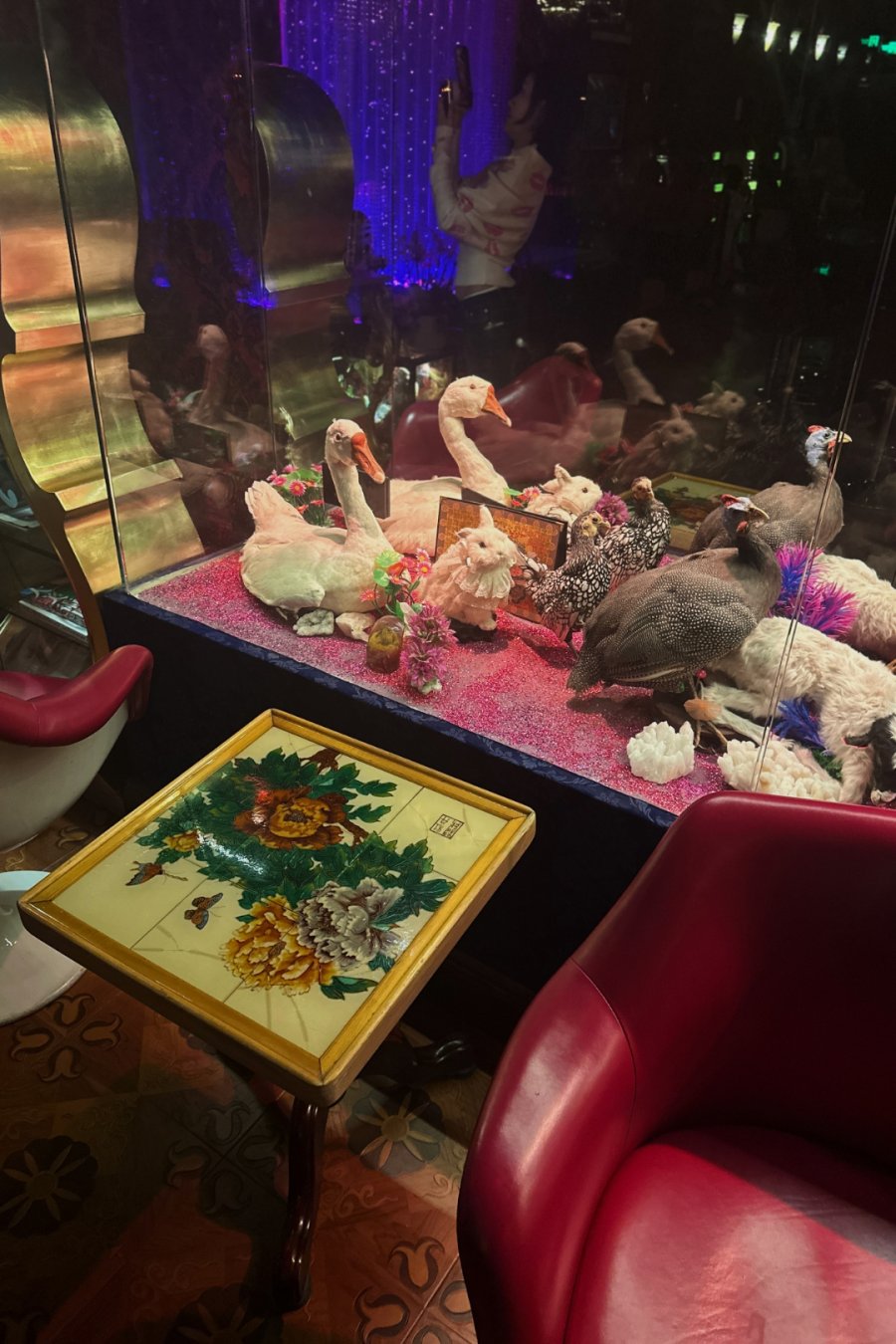 Sympathy Angel: Taxidermy,  Cocktails, Chaos