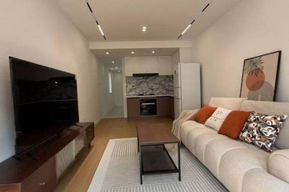 Lovely one bedroom Apt+central AC+oven+Dryer near L2/11Jiangsu Rd