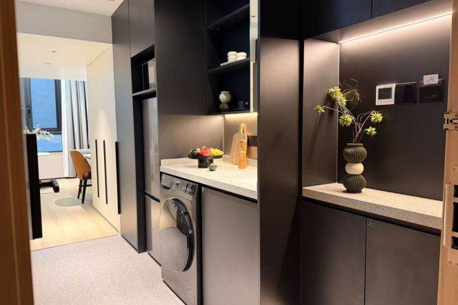 1Loft near line 8 and convenient to Fu'dan University can long and short lease