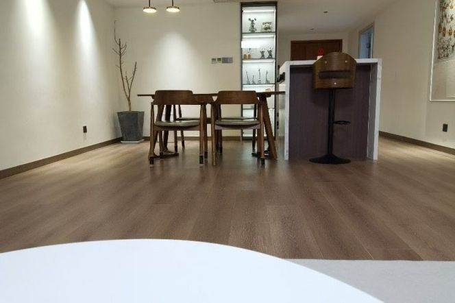 Elevator 3BR-Hongqiao Road-4-minute ride to Line 1/9/11-Xujiahui