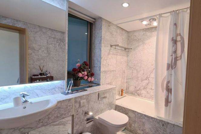 West Nanjing rd elevator 1BR with balcony