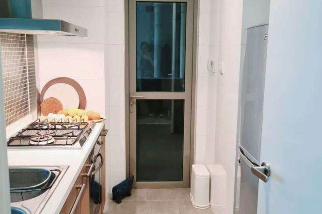West Nanjing rd elevator 1BR with balcony