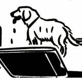 飞客玩集 | Fake Market with 40+ Indie Vendors