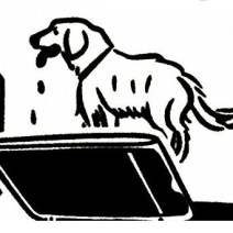 飞客玩集 | Fake Market with 40+ Indie Vendors