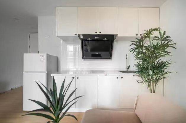 West Nanjing rd 1BR apartment with balcony