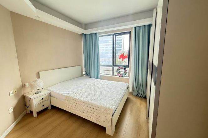 Modern one bedroom elevator Apt+central AC near L2/11Jiangsu Rd