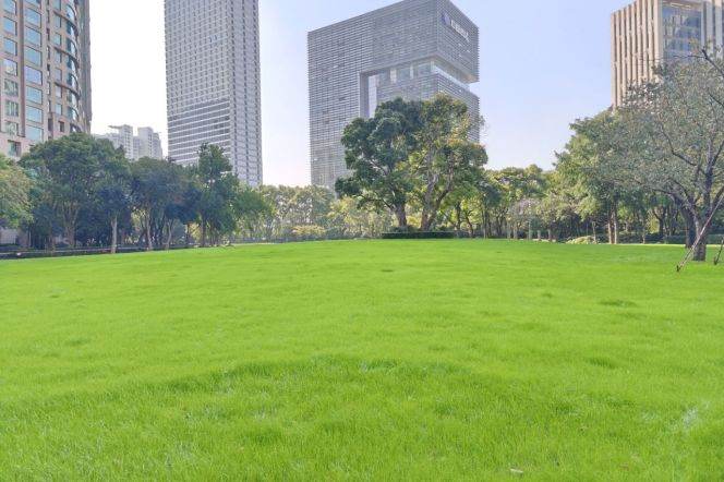 Elevator 3BR-Lujiazui Station-12-minute ride to Line 9-Shangcheng Road Station