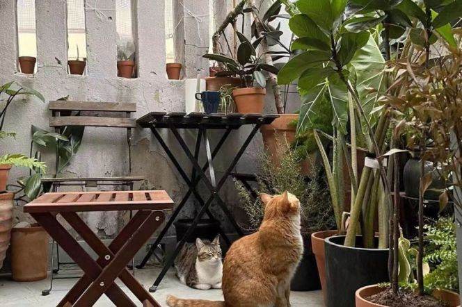 Beautiful 2br-2bath with terrace @Jing'an,West Nanjing Road/Changping Road