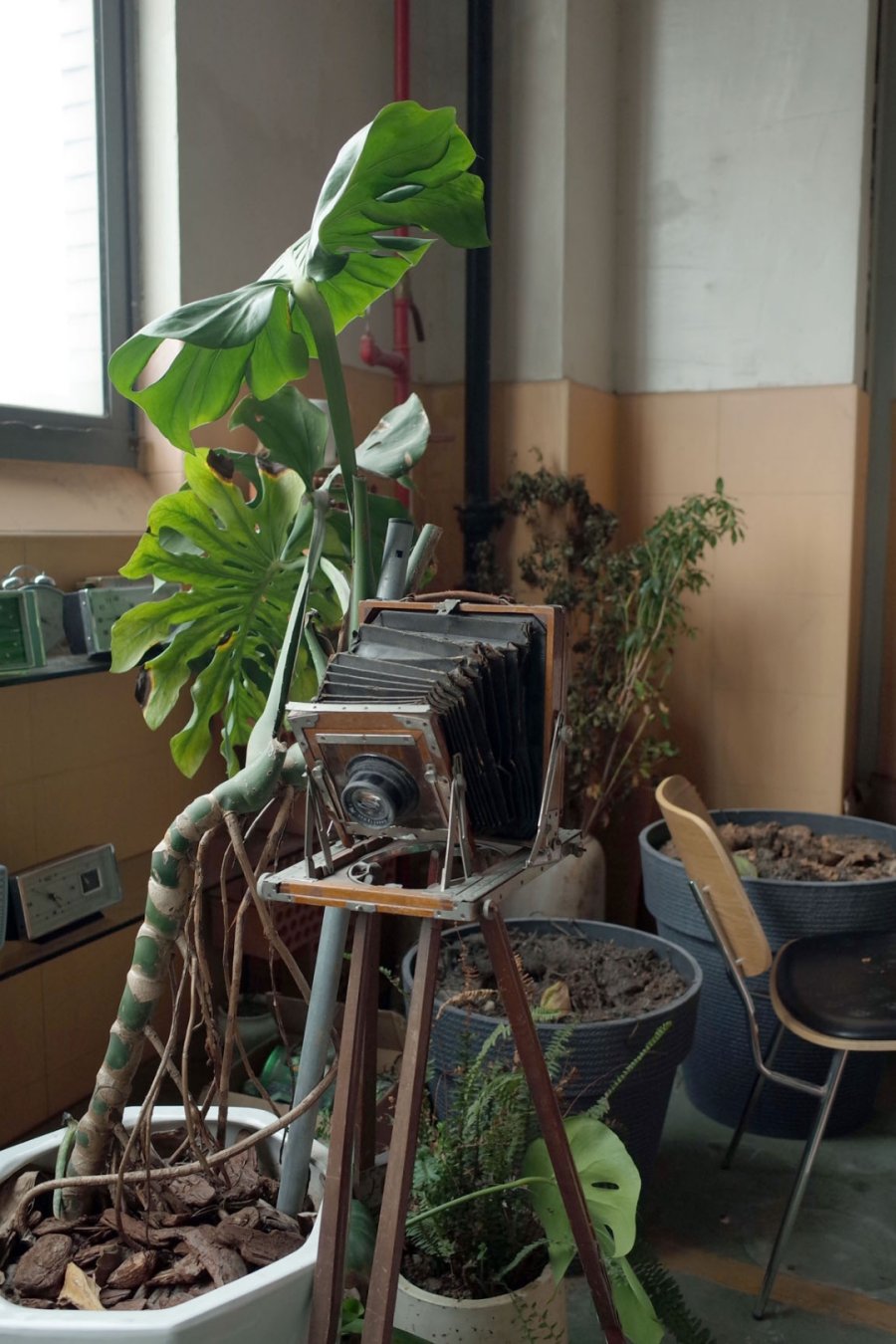 Shanghai’s Secret Prop Warehouse