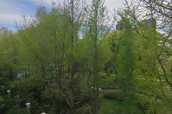 New building 1 br with lift in XuHui, easy to L 3 CaoXi Rd St.+ L 1/12 CaoBao Rd St.