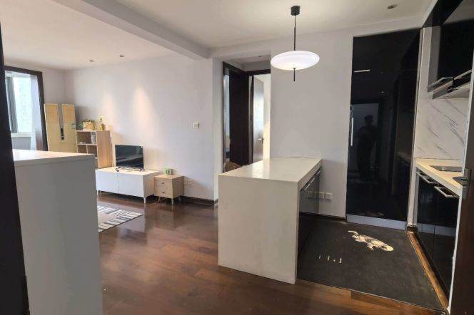 Spacious 2brs Apt Hengshan road