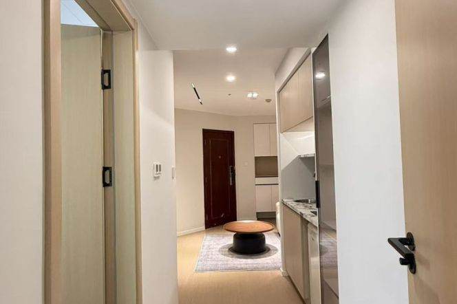 West Nanjing rd elevator 1BR apartment