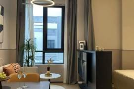 1BR near line 8 and convenient to Fu'dan University can long and short term lease