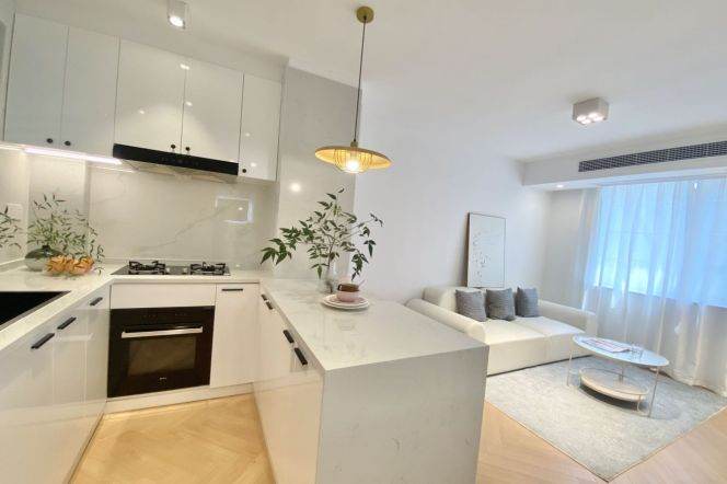 Lovely one bedroom Apt with oven and central AC & dryer @Hongqiao Rd