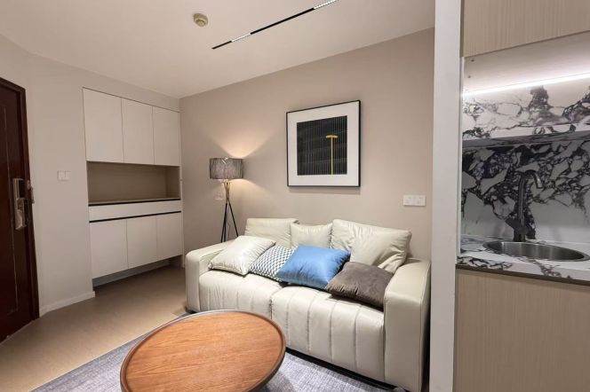 West Nanjing rd elevator 1BR apartment