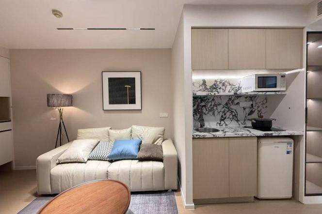 West Nanjing rd elevator 1BR apartment