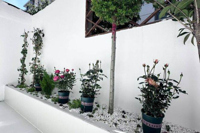 Nice yard+modern 1br 2lr/big living room/floor heating,Zhongshan(N) rd@L1