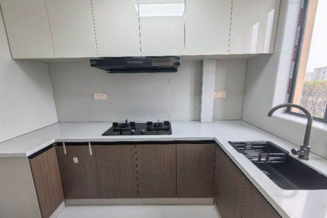 Brand new high rise 1br apt,close to Line 2