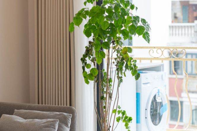 Changde Famous Garden — High-Floor 3BR with Floor Heating — 25,800 RMB