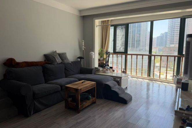Spacious shared apartment with Suzhou Creek View 