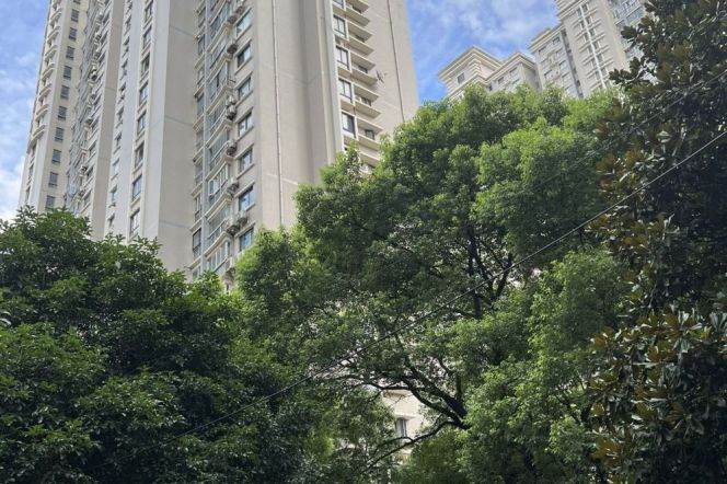 Fresh 2BR Elevator Apt nr Wuding rd Station