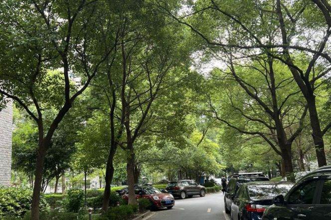 Lovely 2Bedrooms Apt+Wall Heating+central AC+Dishwasher@Jiangsu Rd