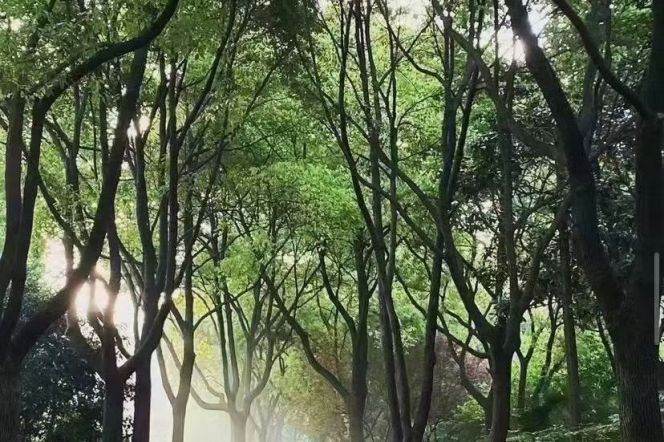 3 Brs, 2 Baths, Floor heating/Free Gym/Swimming pool, 170 sqm @ Shuicheng metro L10