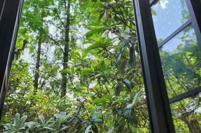 Unique 1br old house with Balcony in Xuhui L10&11