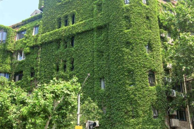 Taiyuan Road,Yongjia Road 2br with elevator /balcony