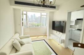 Newly Renovated Elevator 2Br/2Lr/1Bt@L2/3/4 Zhongshan Park Station