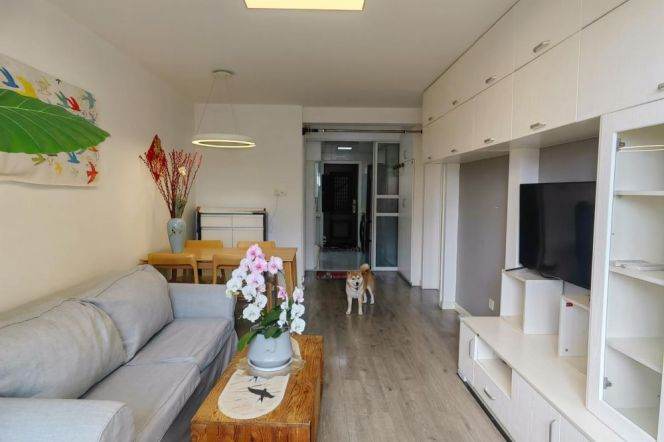 Sunny & Spacious 1 br in Old XuHui near IAPM ,easy to L 1/10/12 South ShaanXi Rd St.
