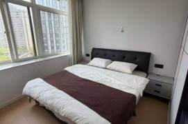Spacious-Fashion-lift-1Br-Nr Jingan Monastery-Jiangning rd/Jingan area/L7/13