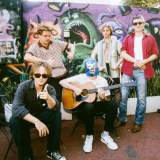 Shame (UK), Fazi, Vanishing Queen