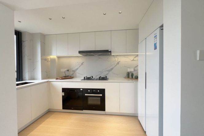 modern big 3brs floor heating modern furniture nice view beside Su zhou river line 2,15