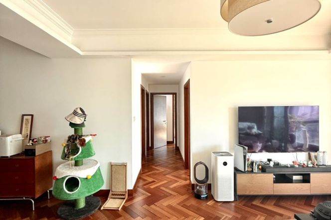 Cozy&Sun-Drenched 3BR 2BA in Jing'an Four Seasons/W.Nanjing Station