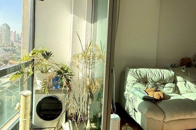 Cozy&Sun-Drenched 3BR 2BA in Jing'an Four Seasons/W.Nanjing Station