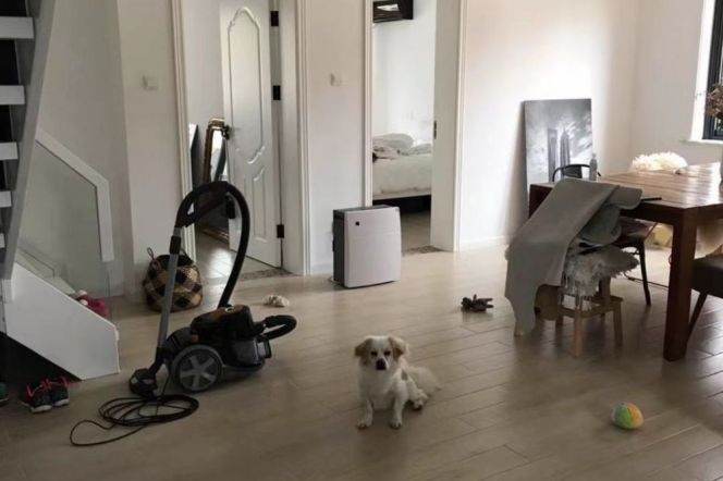 Modern 4BR 2BA Duplex  w/Balcony nr Jiaotong University Station