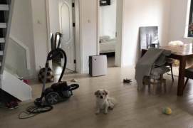 Modern 4BR 2BA Duplex  w/Balcony nr Jiaotong University Station