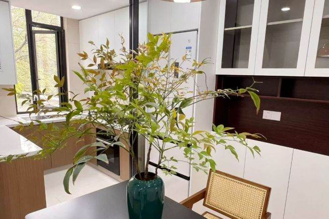 2 Brs, 1 Living room, Brand-new Dec, 110 sqm, Oven/Dryer @ Zhongshan park L2