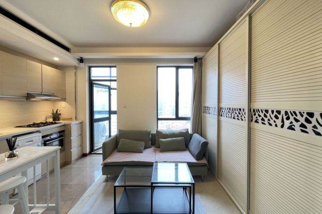 Pudong area/charming 1br 1lr/Good view/nice location,Century Avenue@L2/4/6/9